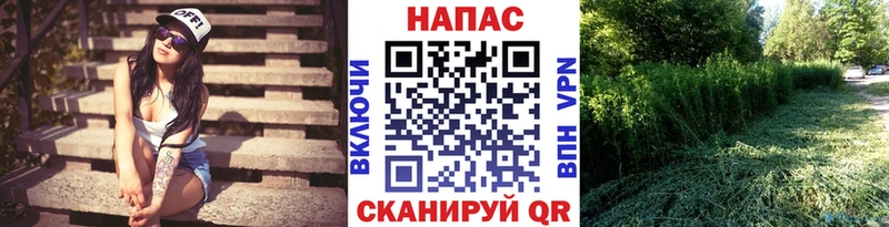 гидра ТОР  Теберда  Шишки марихуана семена 